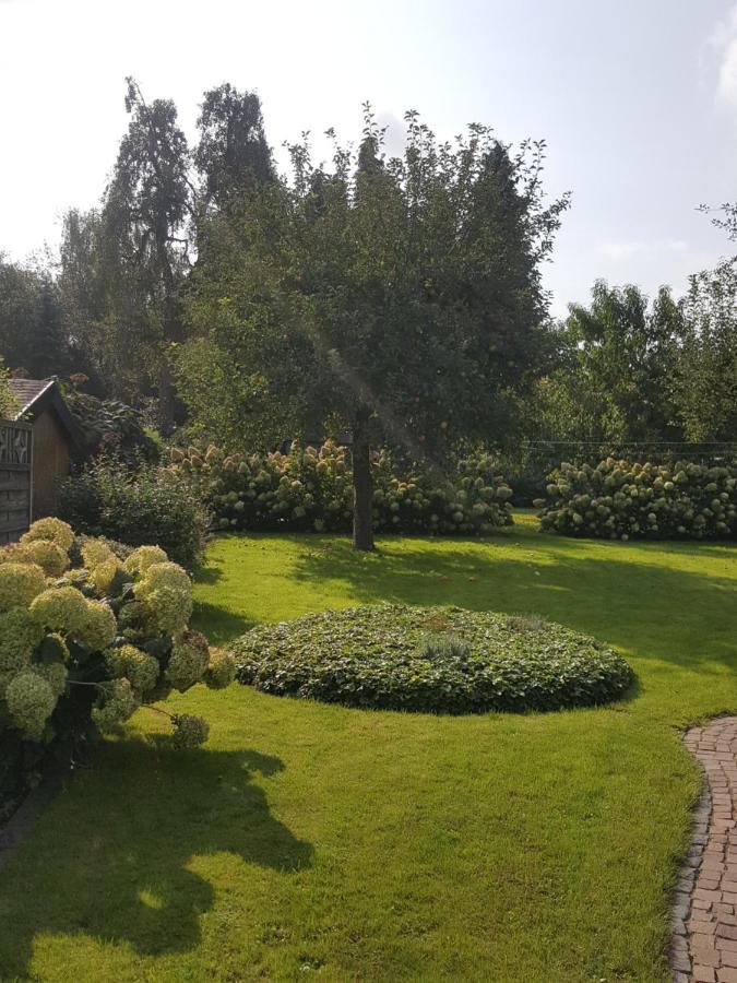 Zur Sonne Apartment